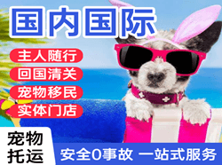 忻州五台山国际宠物托运 【国